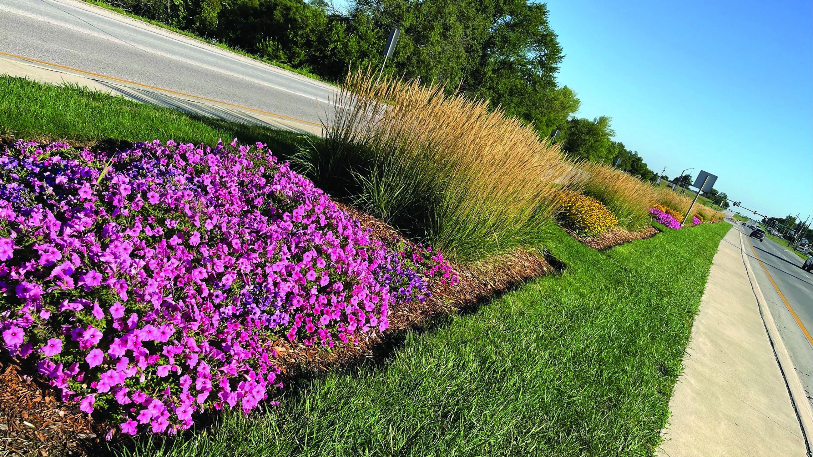Photo of median along Highway 65/69 in Indianola, Iowa.