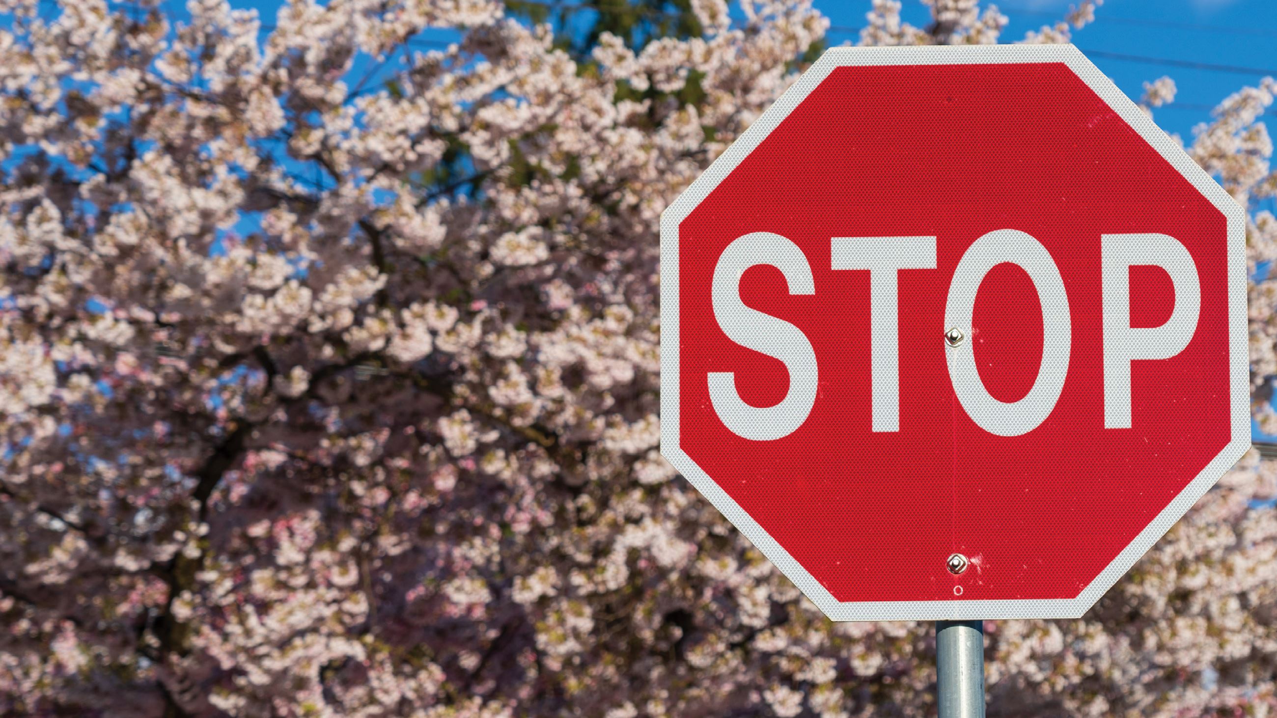 A photo of a stop sign.