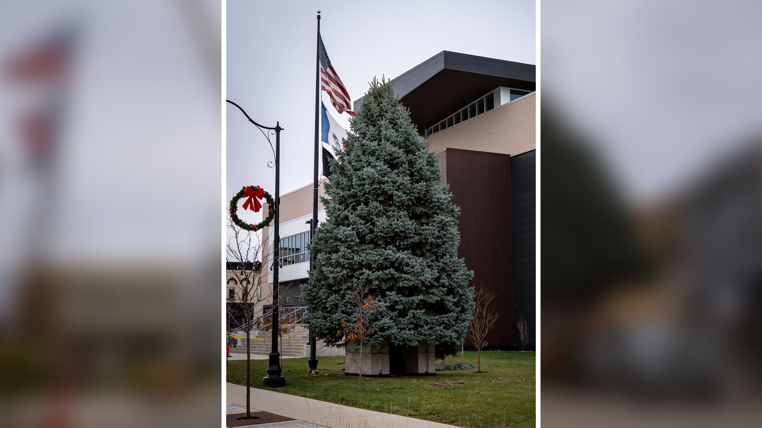 A community tree outside the Warren County Justice Center at night in 2024.