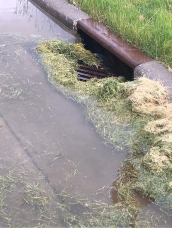 Storm Drain blocked